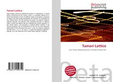Tamari Lattice的封面