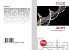 Couverture de NDUFV3