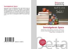 Portada del libro de Semialgebraic Space