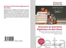 Portada del libro de Séminaire de Géométrie Algébrique du Bois Marie