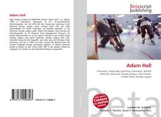 Adam Hall kitap kapağı