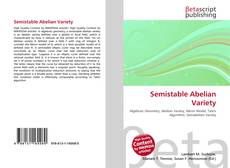 Copertina di Semistable Abelian Variety