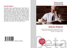 Portada del libro de Sekula Drljević