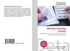 Copertina di Whitney Covering Lemma