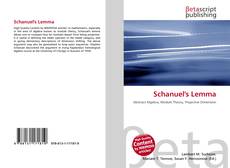 Buchcover von Schanuel's Lemma