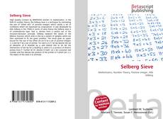 Selberg Sieve的封面