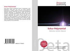 Schur Polynomial kitap kapağı