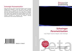 Schwinger Parametrization的封面