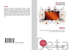 Buchcover von Valeo