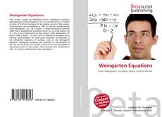 Bookcover of Weingarten Equations