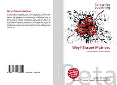 Weyl–Brauer Matrices kitap kapağı