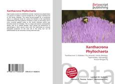 Copertina di Xanthacrona Phyllochaeta