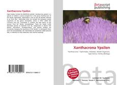 Copertina di Xanthacrona Ypsilon