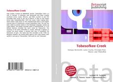 Copertina di Tobesofkee Creek