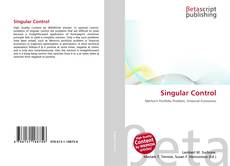 Singular Control的封面