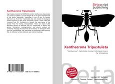 Portada del libro de Xanthacrona Tripustulata