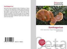 Portada del libro de Xanthagaricus