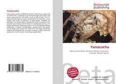 Capa do livro de Yanacocha 