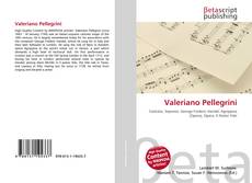 Bookcover of Valeriano Pellegrini