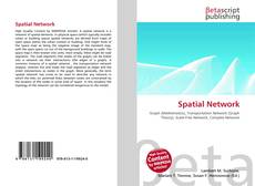Bookcover of Spatial Network