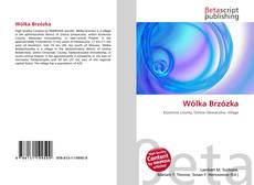 Copertina di Wólka Brzózka