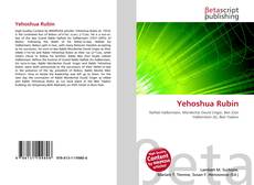 Yehoshua Rubin的封面