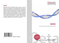 Portada del libro de NEFM