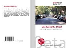 Vozdvizhenka Street的封面