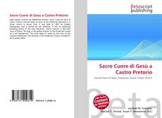 Buchcover von Sacro Cuore di Gesù a Castro Pretorio