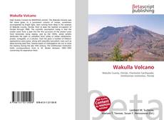 Bookcover of Wakulla Volcano