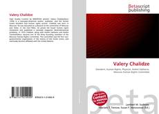 Portada del libro de Valery Chalidze