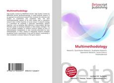 Multimethodology的封面