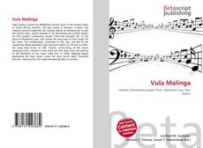 Bookcover of Vula Malinga