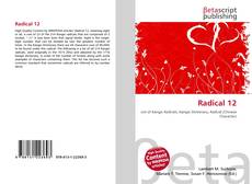 Capa do livro de Radical 12 
