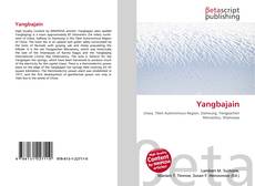 Yangbajain kitap kapağı