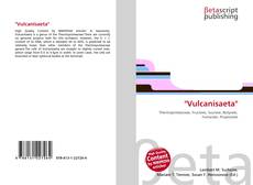Bookcover of ''Vulcanisaeta''