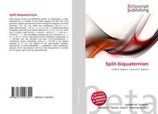 Couverture de Split-biquaternion