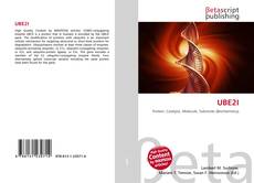 Bookcover of UBE2I
