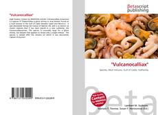 Portada del libro de ''Vulcanocalliax''