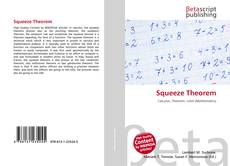 Buchcover von Squeeze Theorem