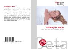 Bookcover of Waldeyer's Fascia