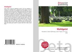 Bookcover of Waldgeist