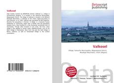 Buchcover von Valkosel