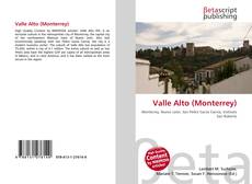Bookcover of Valle Alto (Monterrey)