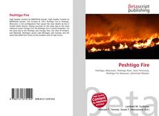 Peshtigo Fire的封面