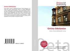 Buchcover von Gmina Odolanów