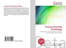 Portada del libro de Process Oriented Psychology