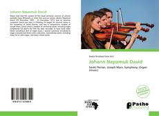 Bookcover of Johann Nepomuk David