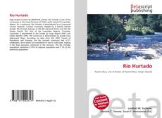 Bookcover of Río Hurtado
