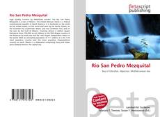 Bookcover of Río San Pedro Mezquital